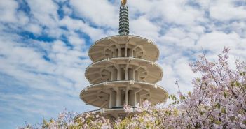 Origami-Kunst in San Franciscos Japantown erwacht zum Leben (Foto: AdobeStock - SvetlanaSF 590705651)